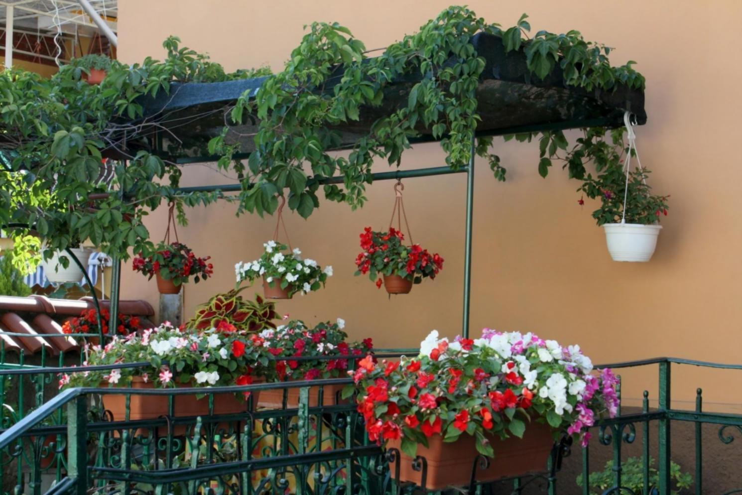 Професійний розвиток у дії