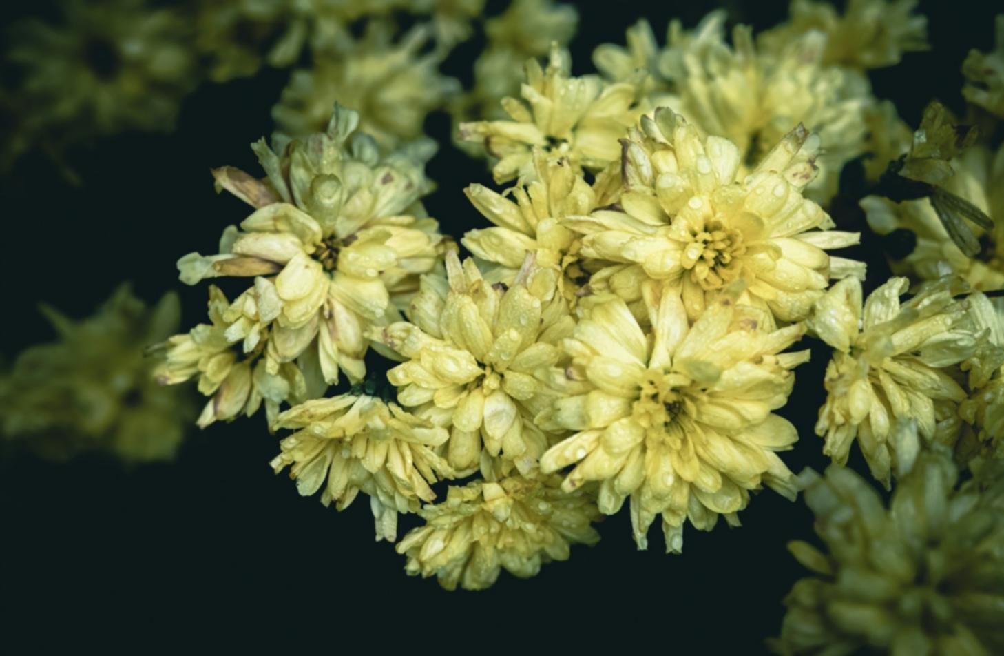 Робочий процес під час групового проєкту